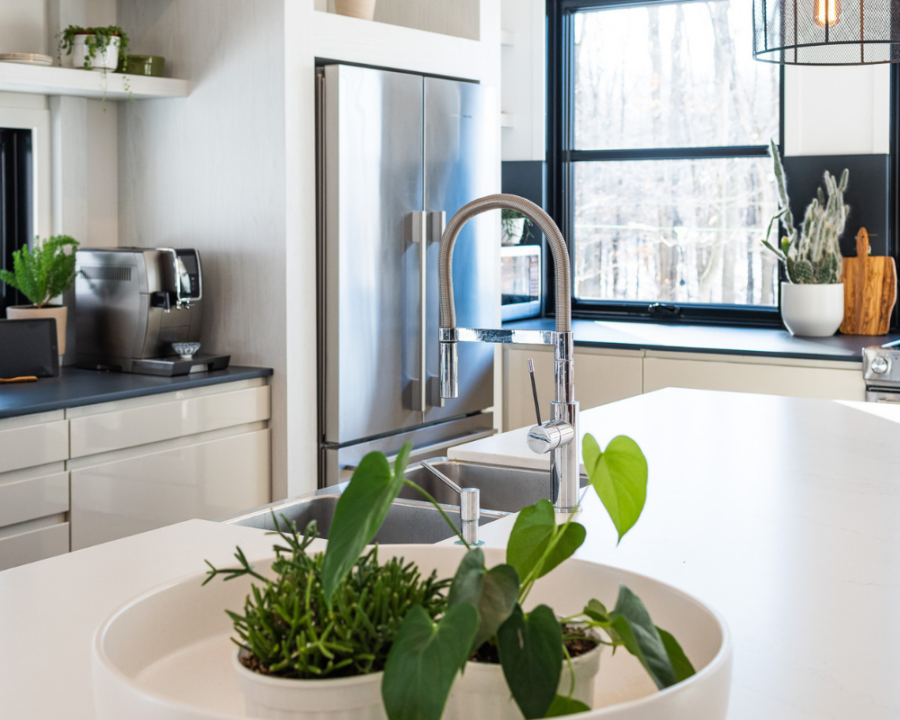 Rendu 3D détaillé du plan de maison rustique conçu par les architectes de Pammax Design, montrant l'architecture.